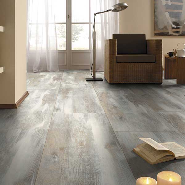 Reformas parciales para realizar en Nueva España