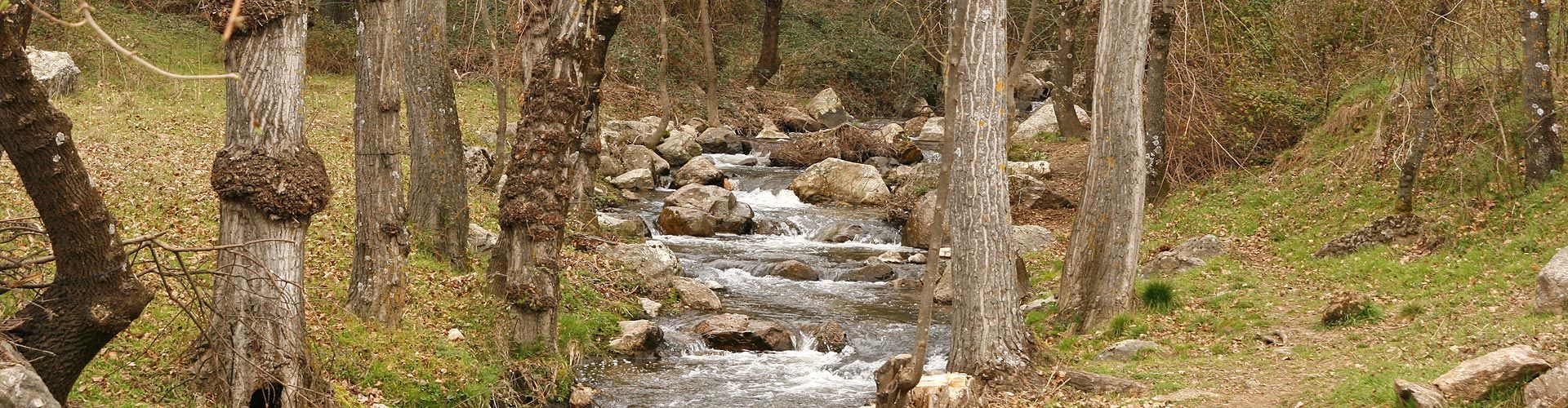 Reformas integrales y parciales en Navalagamella