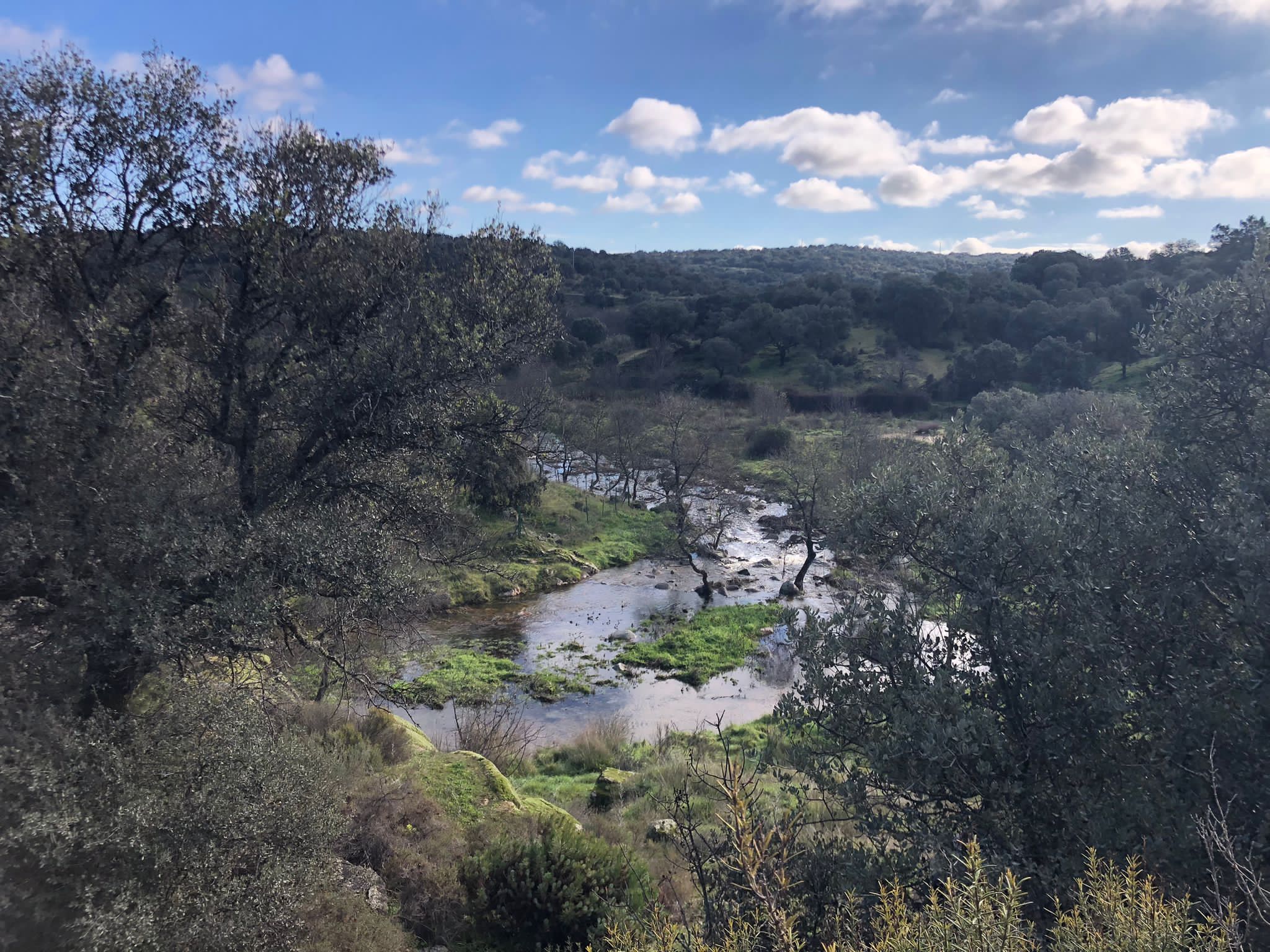 Reformas integrales y parciales en Navalagamella