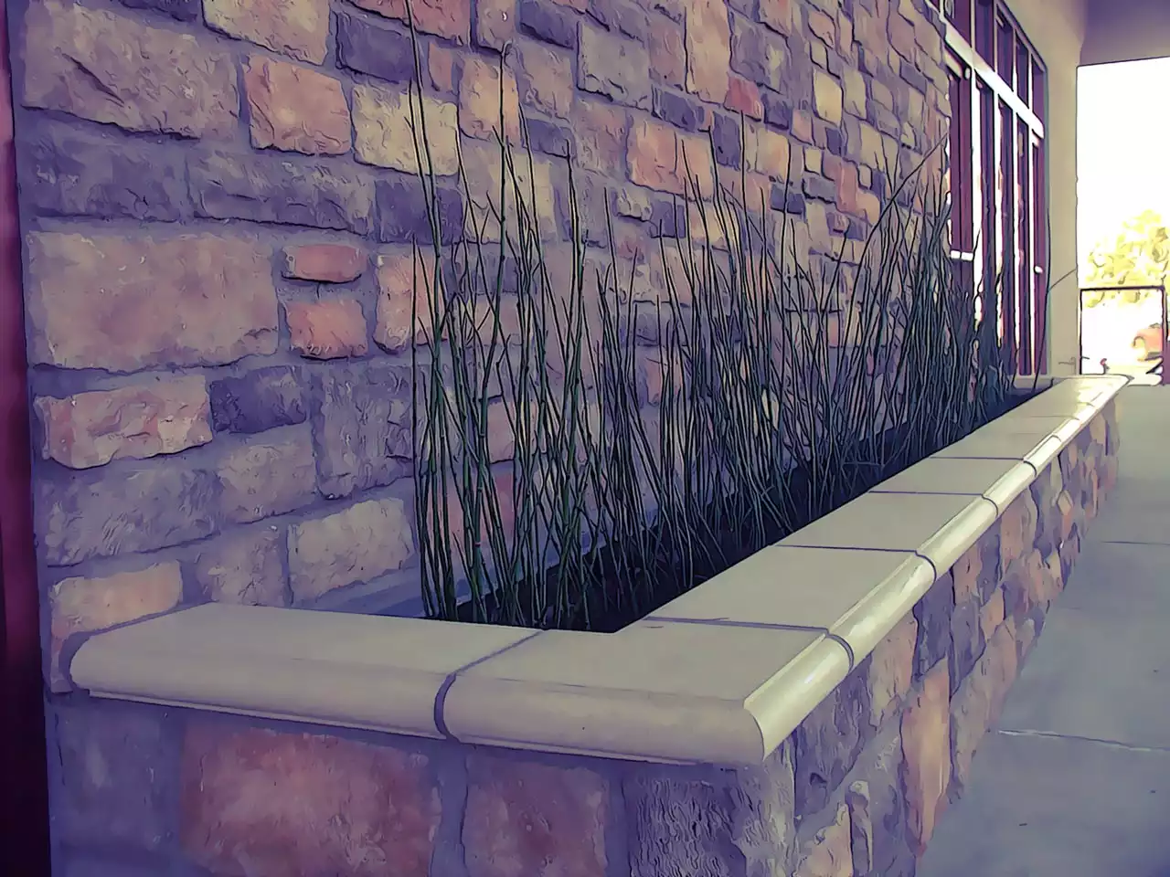 un cambio de imagen y modernizar tu baño puede ser una de las mejores inversiones que puedas hacer, recuerda que es la primera sala que visitas todas las mañanas y un baño de diseño aparte de ofrecer un espacio más relajante y cómodo, ofrece una mejora de eficiencia en el consumo de agua, gas y luz. Reformas Carmona ofrece todos los servicios de reforma y albañilería para tu baño en Pelayos de la Presa o cualquier municipio o barrio dentro de la Comunidad de Madrid.